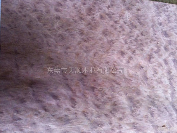 尤加利樹榴木皮 尤加利樹榴 木皮 山紋木皮 直紋木皮 天然木皮 球紋 高檔木皮 排骨影 方塊影 碎影 木皮價(jià)格 山紋 直紋 樹榴