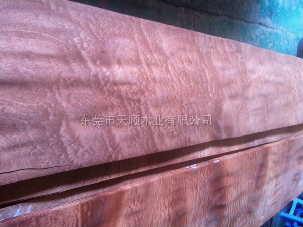 球紋沙比利木皮 球紋沙比利 木皮 山紋木皮 直紋木皮 天然木皮 球紋 高檔木皮 排骨影 方塊影 碎影 木皮價格 山紋 直紋 樹榴