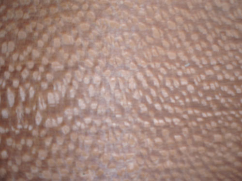 珍珠木皮 珍珠 木皮 山紋木皮 直紋木皮 天然木皮 球紋 高檔木皮 排骨影 方塊影 碎影 木皮價格 山紋 直紋 樹榴